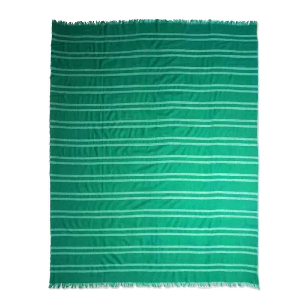 Target Chenille Pattern Throw - Picture 3 of 10